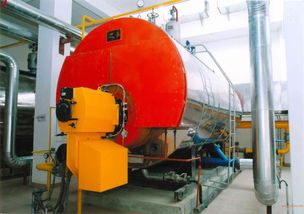 4t6t燃氣熱水鍋爐 小型集中供暖鍋爐,4t6t燃氣熱水鍋爐 小型集中供暖鍋爐生產(chǎn)廠家,4t6t燃氣熱水鍋爐 小型集中供暖鍋爐價格